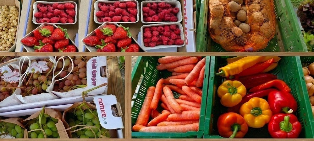 Obst und Gemüse