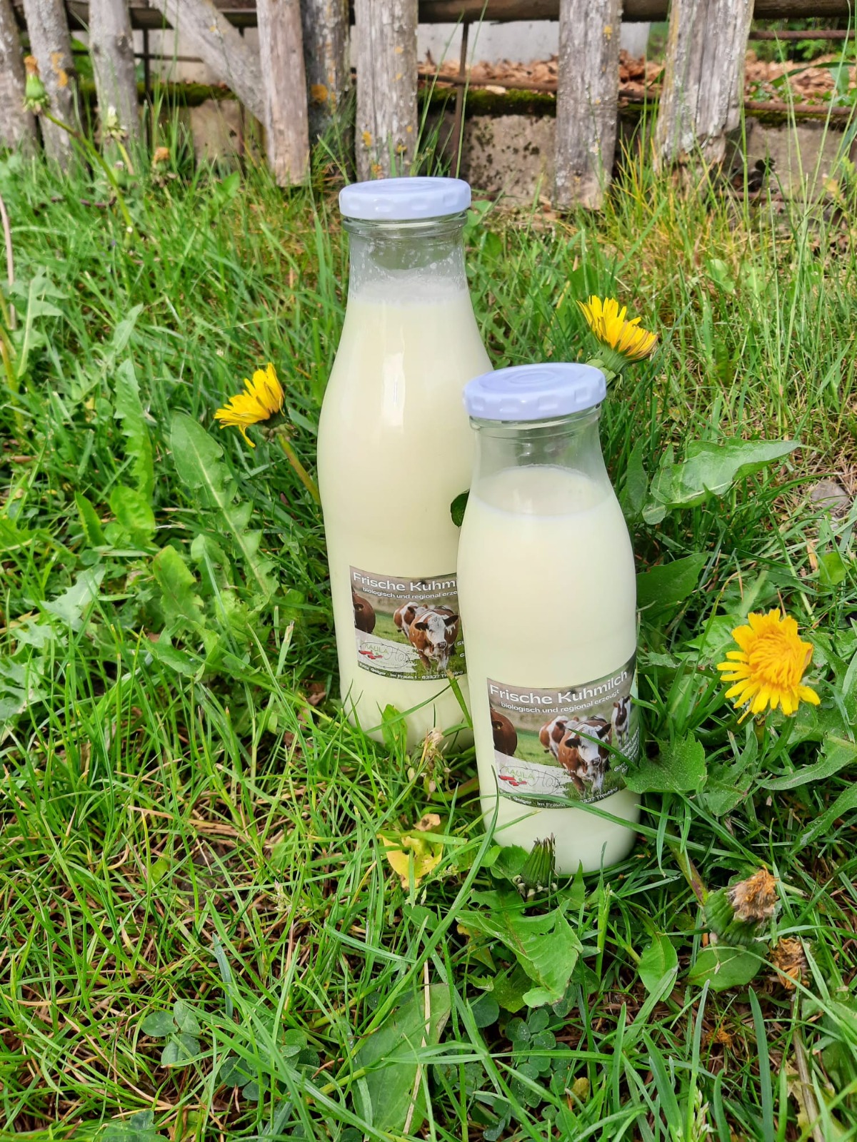 Frische Kuhmilch vom Fraulahof