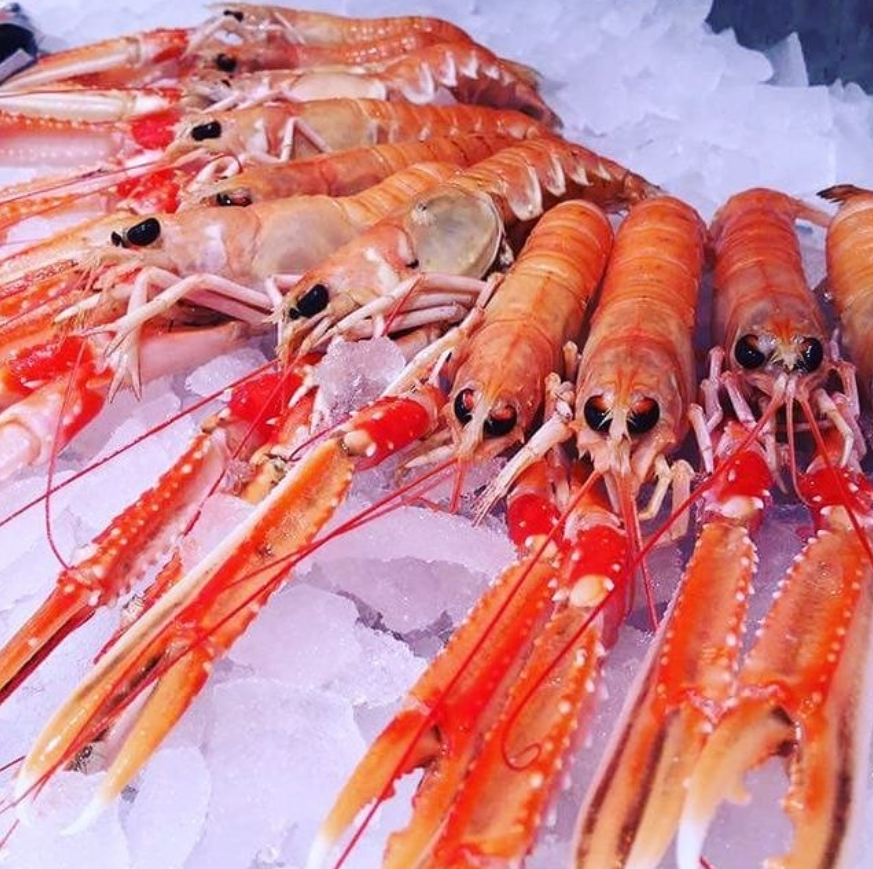 Fisch Fischerei Reeh